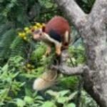 Profile picture of Mahajan Saurabh