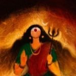 Profile picture of Aman Quazi