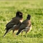 Profile picture of jatin bharti