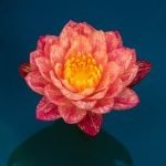 Profile picture of Vedant