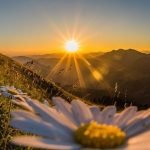 Profile picture of C92