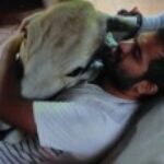 Profile picture of shreedhar-hegde