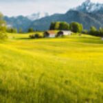 Profile picture of Vedant-P