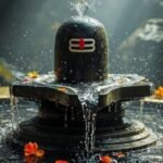 Profile picture of sunitasinghal