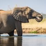 Profile picture of Sugam